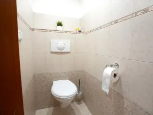 Pronájem bytu 3+kk, Beroun, Tovární, 71 m2