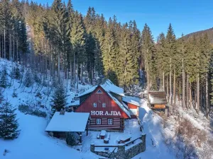 Prodej chalupy, Vítkovice, 500 m2