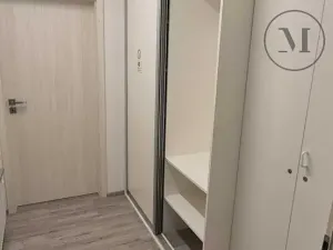 Pronájem bytu 1+kk, České Budějovice, Skuherského, 45 m2