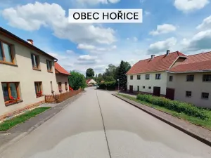 Prodej pozemku pro bydlení, Dolní Hořice, 9850 m2