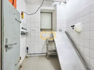 Prodej ubytování, Hoslovice, 468 m2