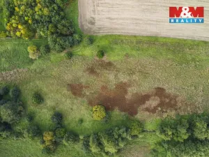 Prodej louky, Františkovy Lázně - Žírovice, 8900 m2