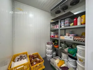 Prodej obchodního prostoru, Teplice, Čs. dobrovolců, 53 m2