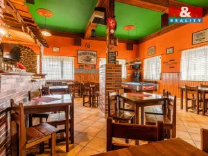 Prodej rodinného domu, Velké Březno, 700 m2