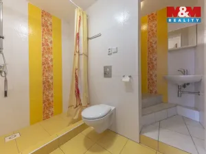 Prodej ubytování, Třebívlice - Dřemčice, 1015 m2