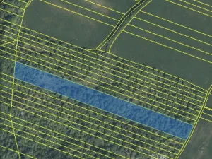 Prodej lesa, Šarovy, 11619 m2