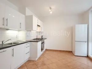 Pronájem bytu 1+1, Praha - Nusle, Zdaru, 45 m2