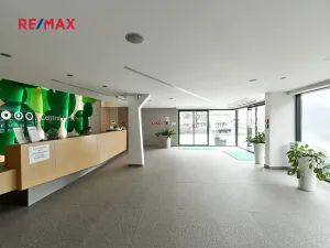 Pronájem bytu 4+kk, Praha - Žižkov, Ke kapslovně, 156 m2