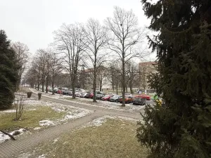 Pronájem bytu 2+kk, Havířov, 1. máje, 51 m2