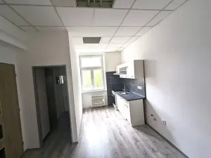 Pronájem bytu 2+kk, Ústí nad Labem, Moskevská, 46 m2