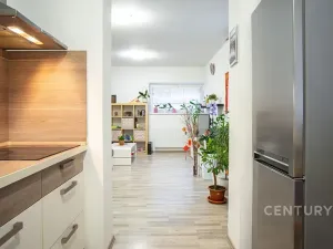 Prodej bytu 2+kk, Plzeň, U Velkého rybníka, 58 m2