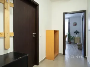 Prodej bytu 2+kk, Plzeň, U Velkého rybníka, 58 m2