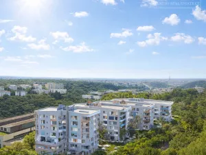 Prodej bytu 2+kk, Praha - Radlice, Radlická, 45 m2