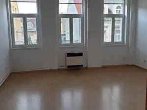 Pronájem bytu 1+1, Novosedlice, Malodrážní, 50 m2