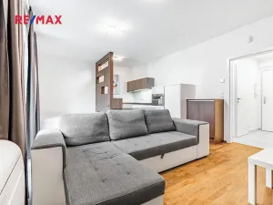 Pronájem bytu 1+kk, Praha - Žižkov, Olšanská, 37 m2