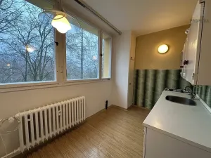 Prodej bytu 2+1, Brno, Arbesova, 56 m2