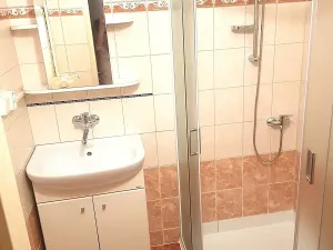 Pronájem bytu 2+1, České Budějovice, Pražská tř., 58 m2