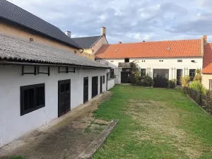 Prodej rodinného domu, Tavíkovice, 1000 m2