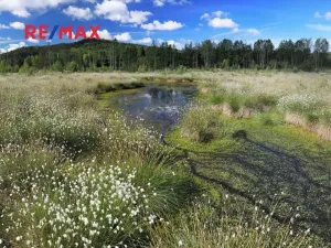 Prodej rodinného domu, Volary, K. V. Raise, 392 m2