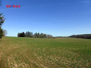 Prodej pole, Bzenec, 1550 m2