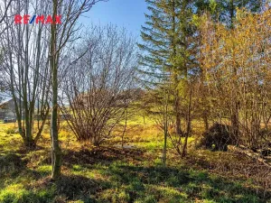 Prodej pozemku pro bydlení, Bělá pod Pradědem, 6840 m2