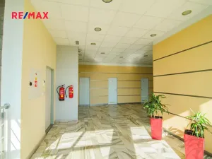 Pronájem obchodního prostoru, Svitavy, Svitavská, 81 m2