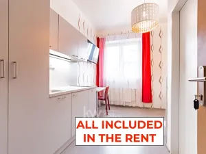 Pronájem bytu 1+kk, Praha - Nusle, Na Jezerce, 18 m2