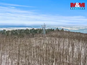 Prodej chaty, Černolice, Mezi zahrádkami, 80 m2