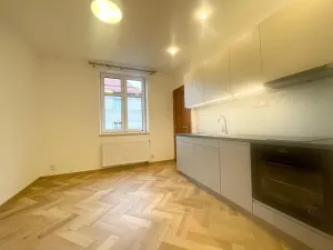 Pronájem bytu 1+1, Liberec, Hálkova, 55 m2