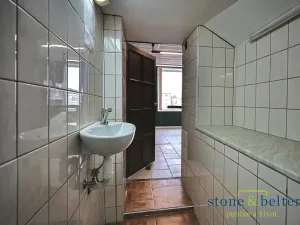 Prodej vícegeneračního domu, Nové Město pod Smrkem, Mírové náměstí, 466 m2