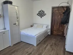 Pronájem bytu 1+kk, České Budějovice, Reinerova, 18 m2