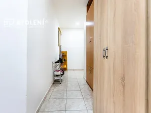 Prodej bytu 2+1, Ústí nad Labem, Střekovské nábřeží, 60 m2