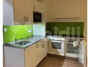 Pronájem bytu 1+kk, Praha - Vinohrady, Slezská, 30 m2