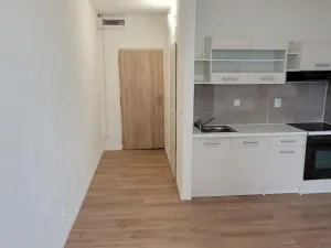 Pronájem bytu 1+kk, U Věžových domů 2933/8, 43401 Most, 25 m2