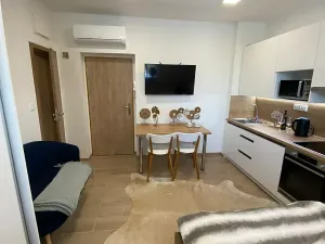 Pronájem bytu 1+kk, Zlín, Štefánikova, 32 m2