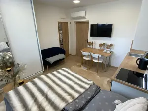 Pronájem bytu 1+kk, Zlín, Štefánikova, 32 m2