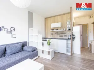 Pronájem bytu 1+kk, Cvikov - Cvikov II, Sídliště, 20 m2