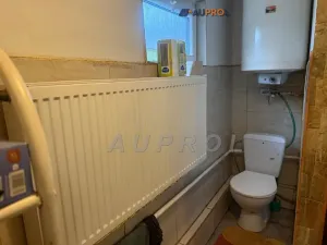 Prodej rodinného domu, Řepín, Libeňská, 61 m2