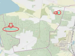 Prodej lesa, Myslív, 4556 m2