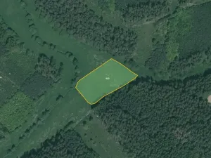 Prodej pole, Poběžovice, 18914 m2