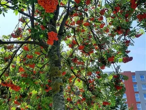 Pronájem bytu 3+kk, Praha, Kytlická, 80 m2