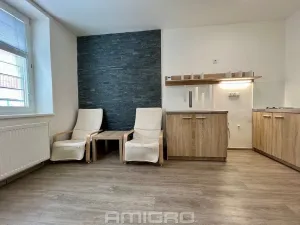 Pronájem bytu 1+kk, Brno, Životského, 24 m2