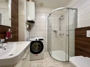 Pronájem bytu 1+kk, Brno, Životského, 24 m2