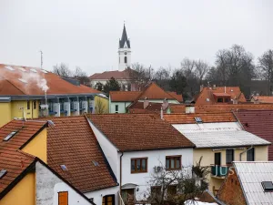 Prodej bytu 1+kk, Třeboň, Vrchlického, 25 m2