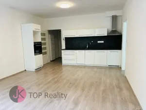 Pronájem bytu 2+kk, Velké Popovice, V parku, 59 m2