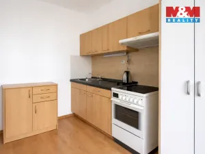 Prodej bytu 1+1, Písek - Budějovické Předměstí, Budějovická, 55 m2