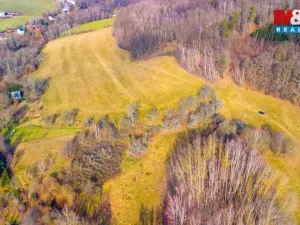 Prodej louky, Žandov - Radeč, 3251 m2