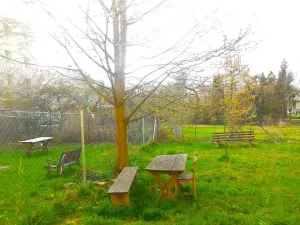 Prodej bytu 2+1, Zlín, Sokolská, 52 m2