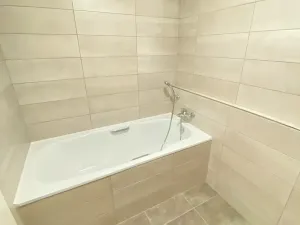 Pronájem bytu 2+kk, Plzeň, U Borských kasáren, 54 m2