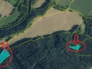 Prodej lesa, Velké Losiny, 7690 m2